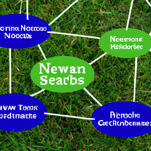 Network with Other Lawn Care Businesses 