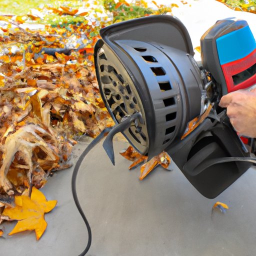 How to Start a Leaf Blower StepbyStep Guide and Safety Tips The