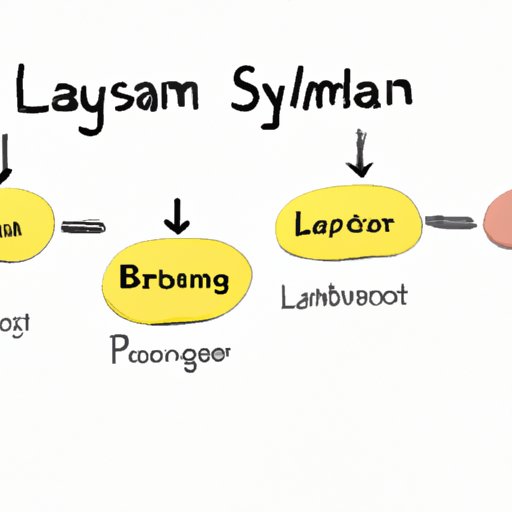 Create a System for Managing Loans and Repayment