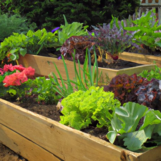 Select the Right Containers or Raised Beds for Your Space