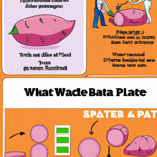 Get Started Growing Sweet Potatoes with This Simple Guide