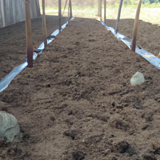 Prepare the Soil and Plant the Vines