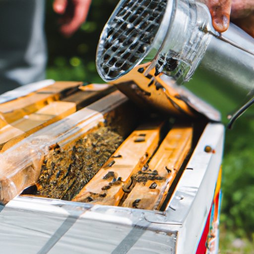 How to Get Started with Backyard Beekeeping: Tips for New Beekeepers