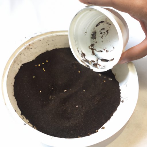 Prepare the Soil for Planting Cannabis Seeds