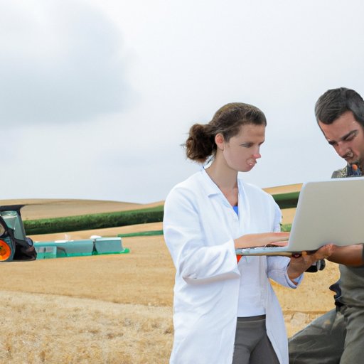 Network With Professionals in the Field