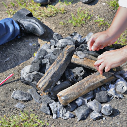 How to Start Charcoal Your Guide to Charcoal Grilling The