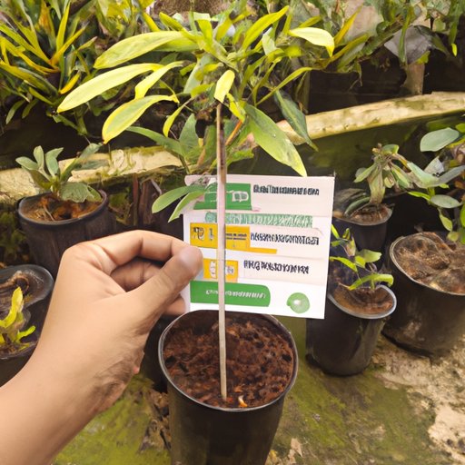 Choose Plants That Will Thrive in Your Region