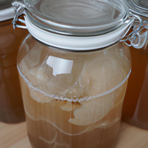 Make a SCOBY Starter Culture