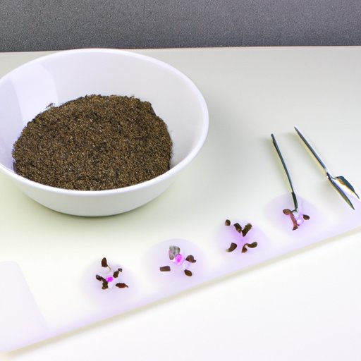 The Basics of Starting Lavender Seeds