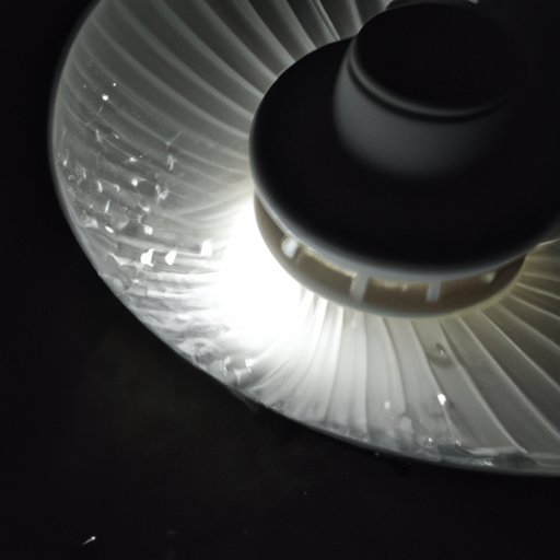 Provide Adequate Light and Moisture