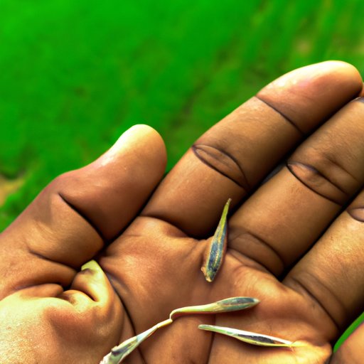 Choose the Right Seeds for Your Location