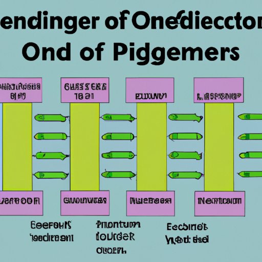 Understand the Different Types of Orders
