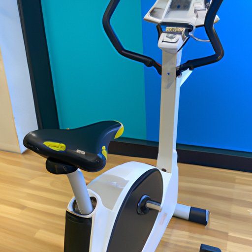 Provide Exercise and Mental Stimulation