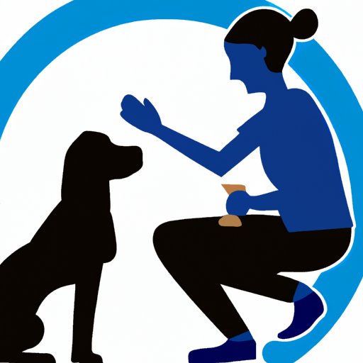 Seek Professional Help from a Pet Behaviorist or Trainer