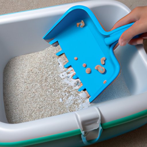 How to Stop a Dog from Eating Cat Poop Tips for Discouraging the