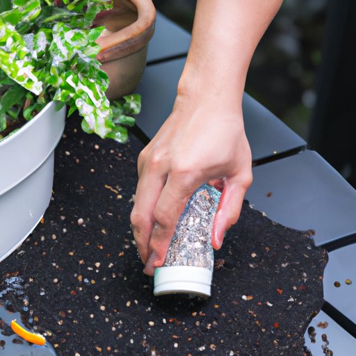 How to Keep Cats Away from Eating Plants Tips and Solutions The