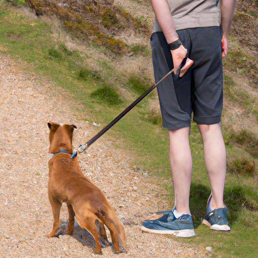  Keep Your Dog On a Leash 