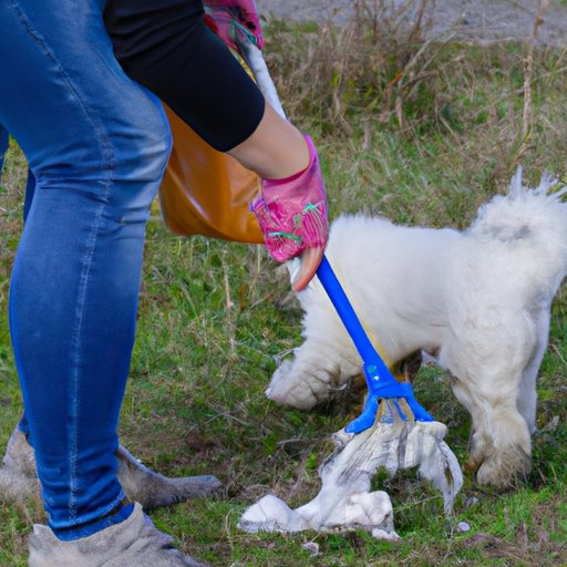 How to Stop Dogs from Eating Their Poop Home Remedies to Help Your Pet