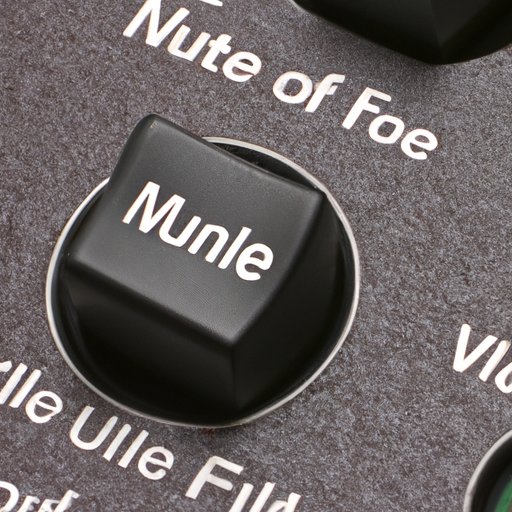 Adjust Volume or Mute Controls