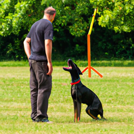 Training Your Dog to Respond to Verbal Commands