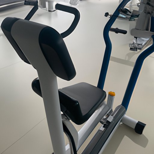 Provide Plenty of Exercise and Mental Stimulation