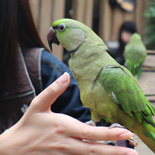 Make Sure the Parrot Has Social Interaction