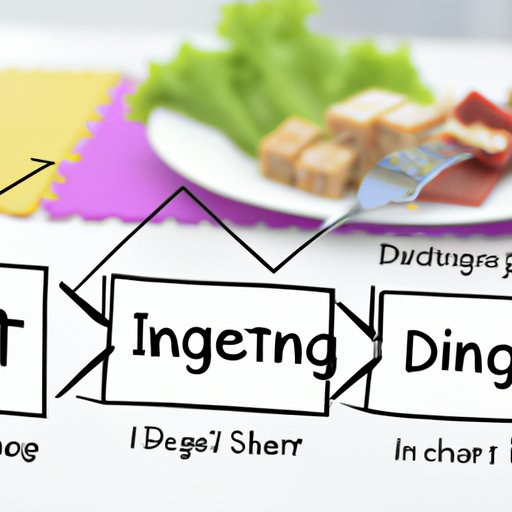 How to Tell if You Have an Eating Disorder A Comprehensive Test The