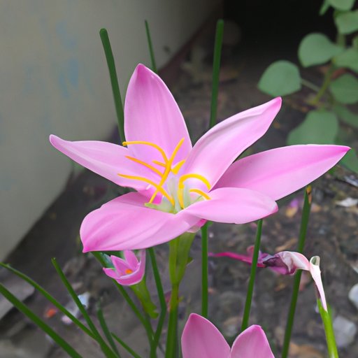 Ask to see multiple pictures of them from different angles