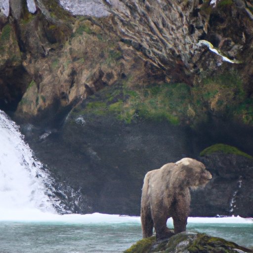 Experience the Unique Wildlife of Alaska