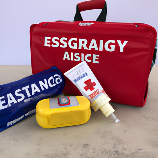 Traveling with a Kitten How to Prepare for a PetFriendly Trip The