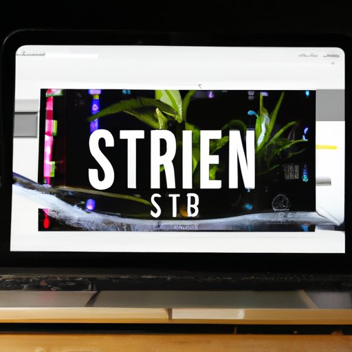 Stream the Movie on a Streaming Platform