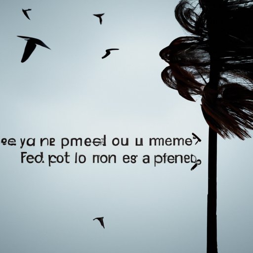 Take Advantage of Free Previews