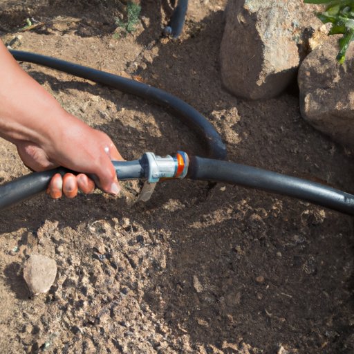 Install a Drip Irrigation System