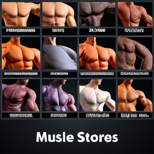 Focus on Different Muscle Groups