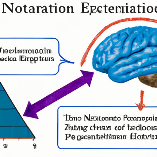 Impact of Exercise on Neurotransmitters