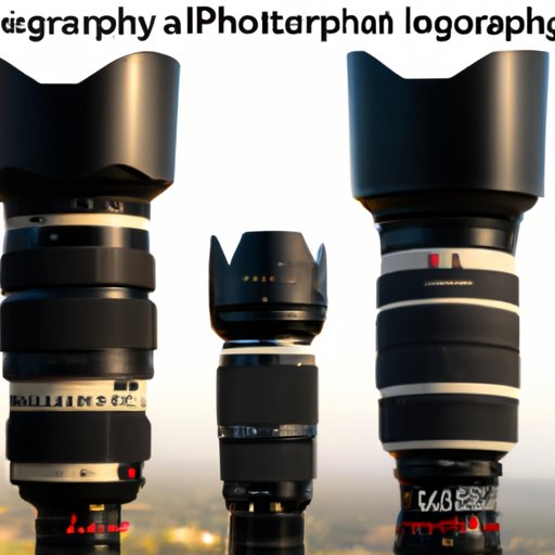 A Comparison of 300mm Lenses for Bird Photography