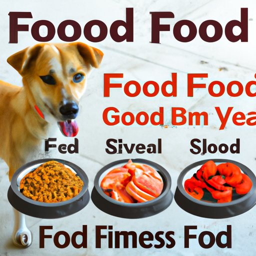 The Benefits of Feeding Your Dog Is 4 Health Dog Food