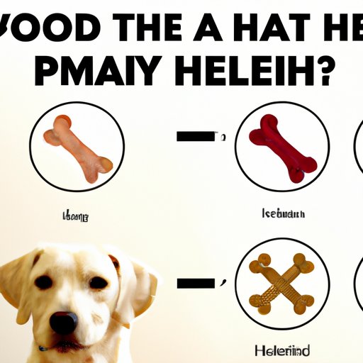 How to Choose a Healthy Dog Food: Is 4 Health vs. Alternatives