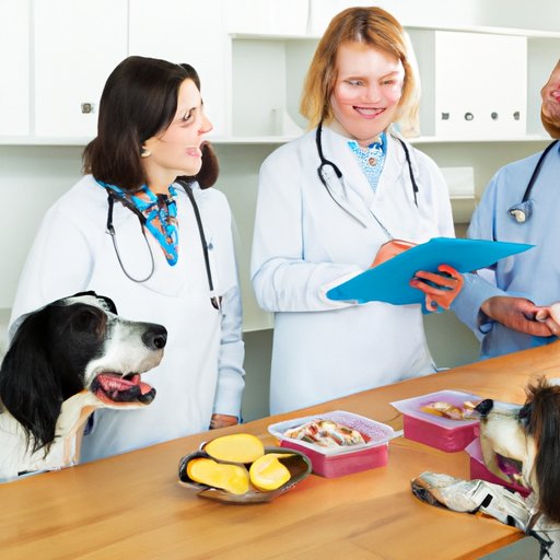 Examining Opinions of Veterinarians on Raw Diets for Dogs