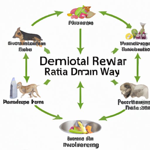 Exploring Potential Risks of a Raw Diet for Dogs