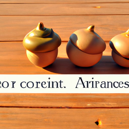 Exploring the Benefits of Investing in an Acorns IRA