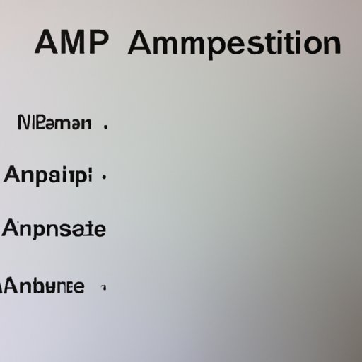 Evaluating the Suitability of AMP for Different Investor Types