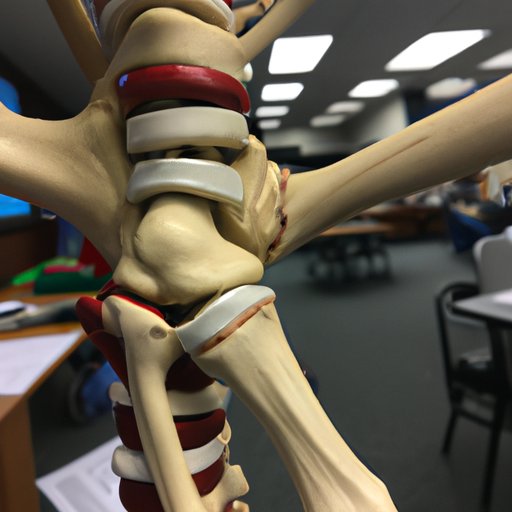 A Closer Look at the Intersection of Anatomy and Physical Science