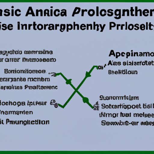 Analyzing the Connection Between AP Environmental Science and Physical Science