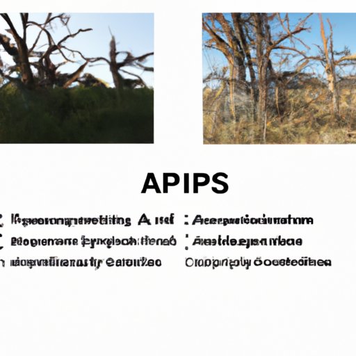 Comparing AP Environmental Science to Other Physical Sciences