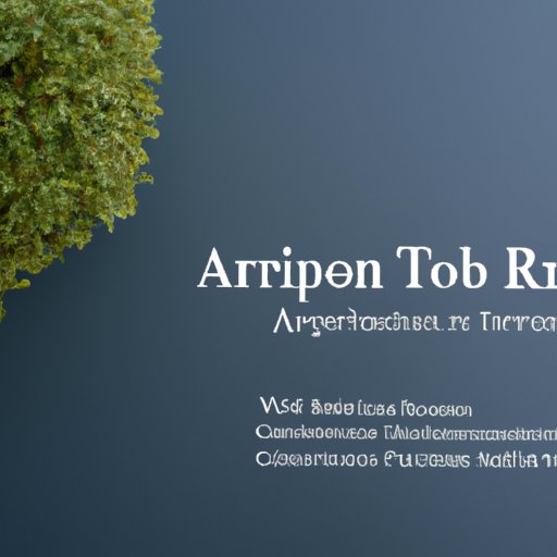 Understanding the Tax Implications of Investing in Arbor Realty Trust
