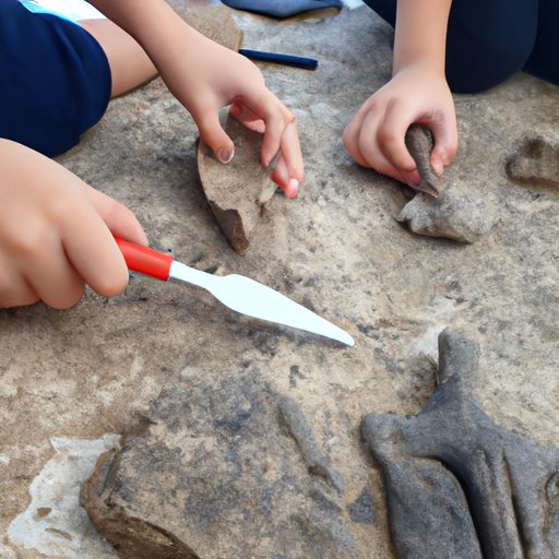 Investigating the Difference Between Archaeology and Paleontology