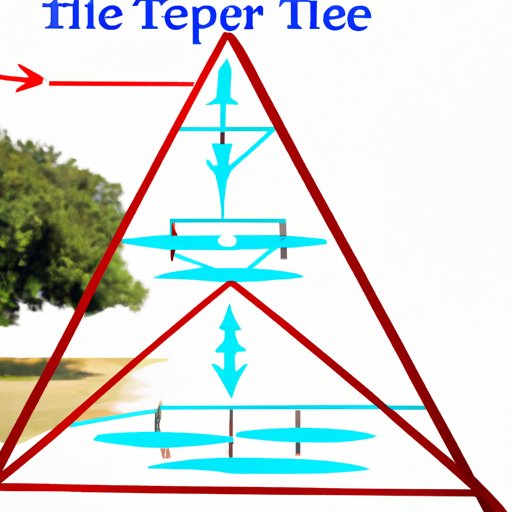 Examining the Structure of Archer Travel to Determine if It Is a Pyramid Scheme
