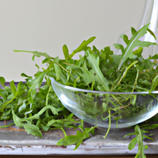 Uncovering the Health Benefits of Arugula