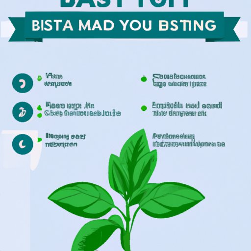 A Guide to Adding Basil to Your Diet for Optimal Health